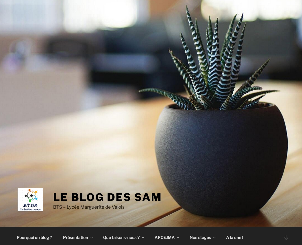Blog des SAM